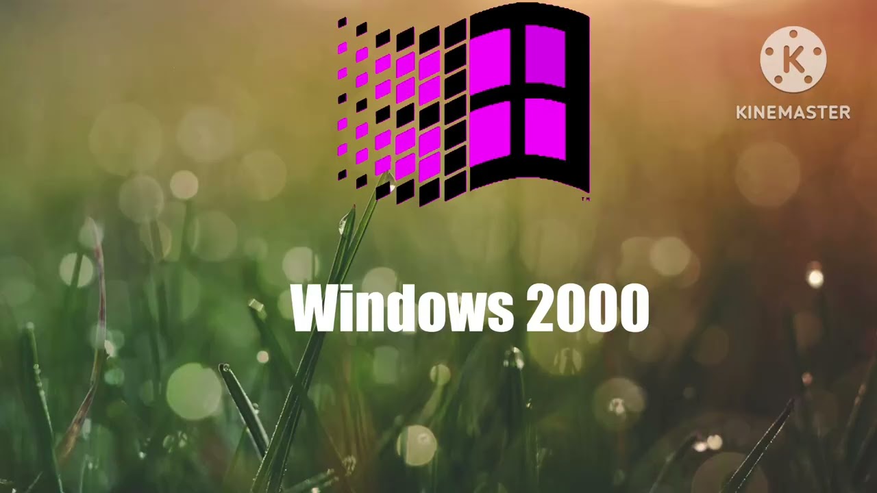 Windows 1985-2041