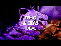 Teho & Ceas - Ideal (Original mix)