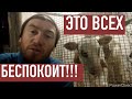 У ВСЕХ ЭТИ ПРОБЛЕМЫ. А ЧТО ДЕЛАТЬ? ЖИЗНЬ ДИКТУЕТ ТЕМЫ