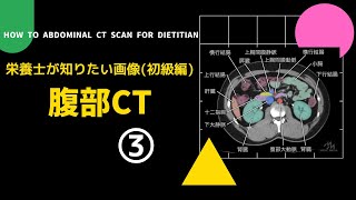 #44③【栄養士が知りたい画像(初級編)_腹部CT】How to Read Abdominal CT scan for Dietitian