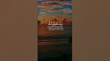 سوره مائده! أَفَلَا يَتُوبُونَ إِلَى اللَّهِ  #قاری #عبدالرحمن_مسعد