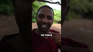 Strange Meat Given To The Chief!