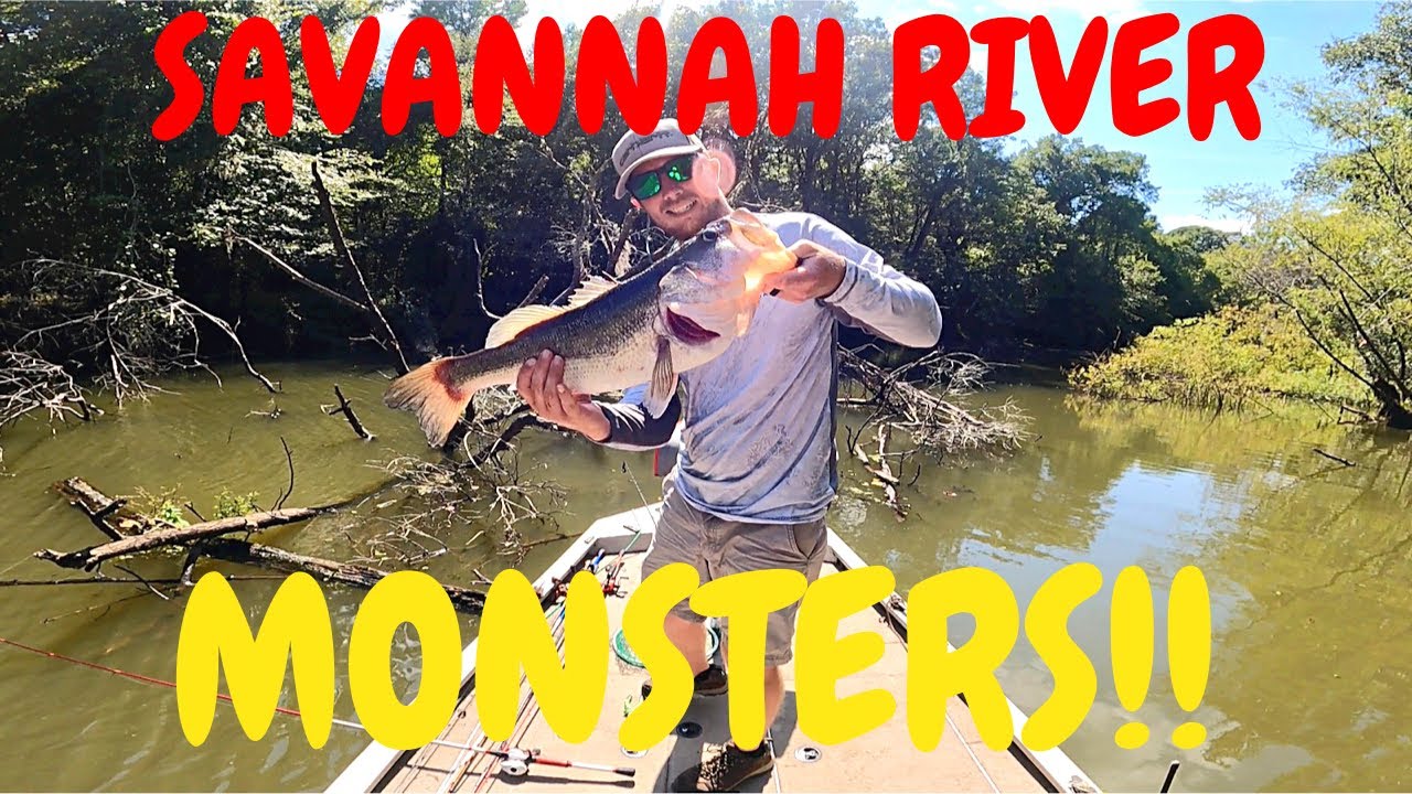 Summer Time Struggles (Savannah River)