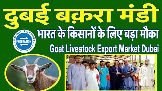 दुबई बक़रा मंडी Goat Export Market - Dubai Livestock Market - How to export livestock?