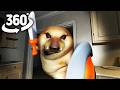 AR Doge Dog in the House! | 360° VR Animation