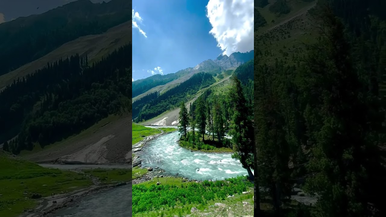 EMPIRE Distribution❤️❤️