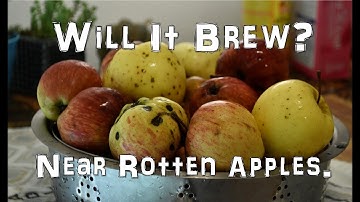 Pt1 Making Hard Cider with Near Rotten Apples & Elderberry Yeast Starter. Will it Brew?