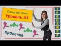 Польский язык  Уровень А1  Тренажер Тест знаний | Преподаватель польского Татьяна Аврамышина