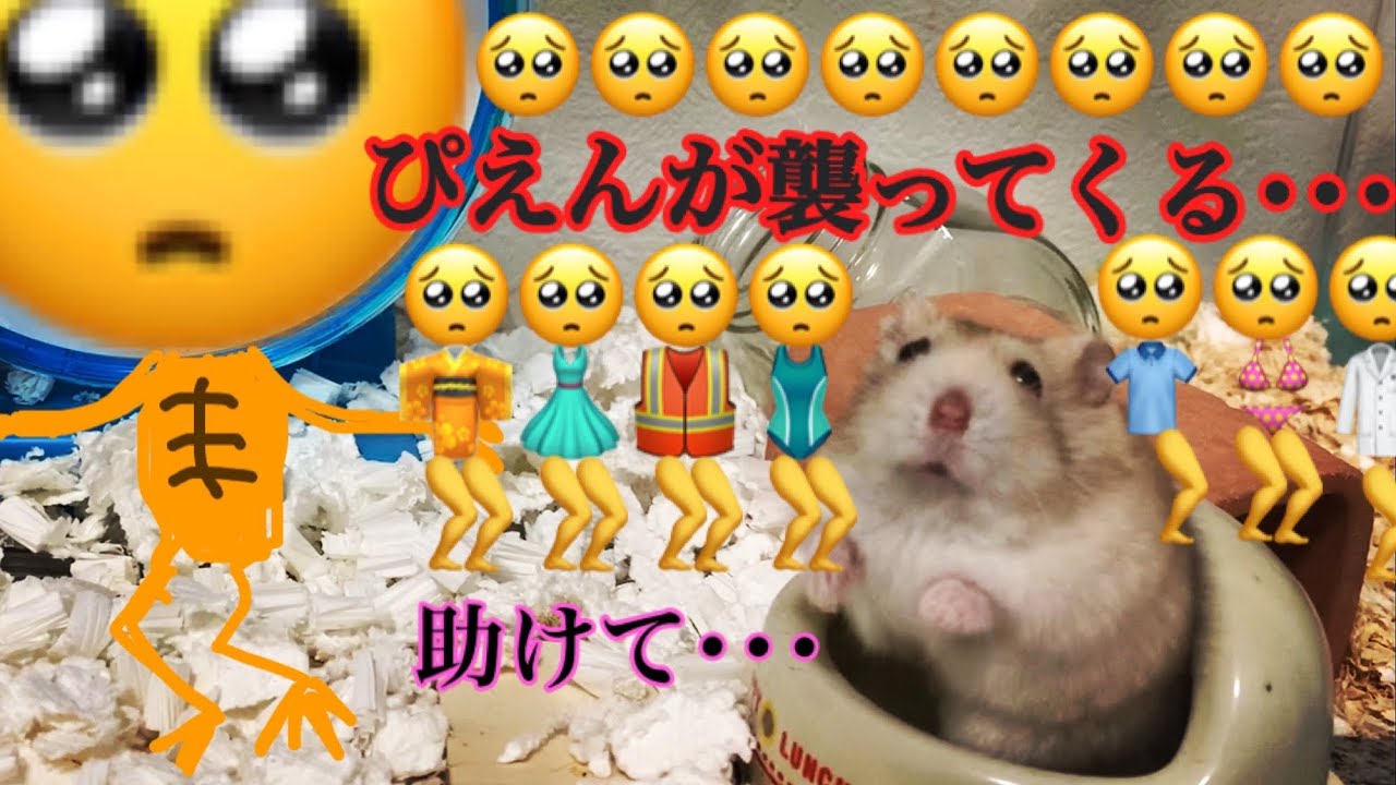 ぴえんに怯えるハムスターw ぴえんが襲ってくる Youtube