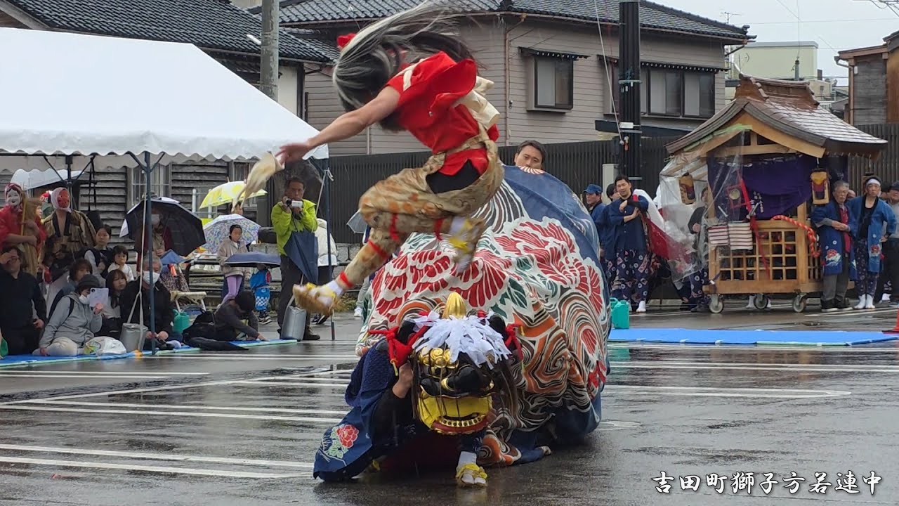 獅子舞 楽天市場】踊る獅子舞 SS グリーン p-1600-ssgr 元旦 飾り