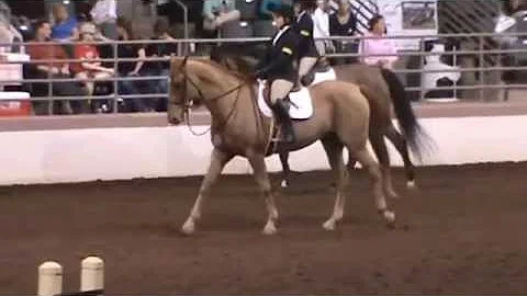 Kristina Hodge IEA Zone 4 Finals 1st Place Varsity...