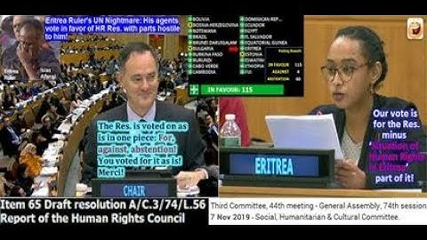 Eritrea Ruler’s UN Nightmare: His agents voted for HR Res. with parts hostile to him!