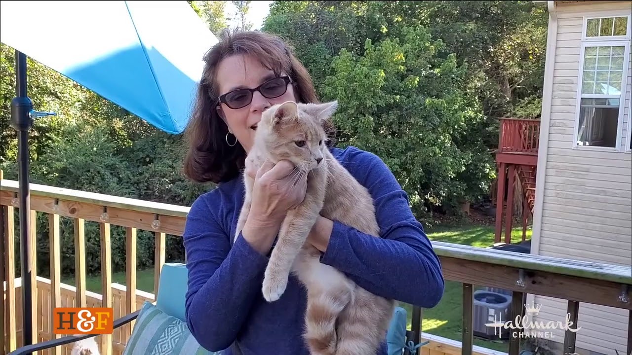Wembley the Kitty in TN