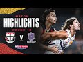 St kilda v fremantle highlights  round 10 2024  afl