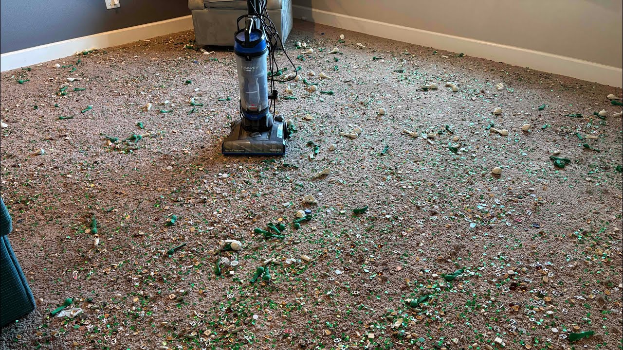 Upstairs Vacuuming w/ Cleanview & Shark Clean up | For @DLVASMR