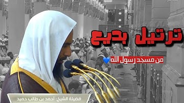 تلاوة بديعة من محراب #المسجد_النبوي للشيخ #أحمد_بن_طالب