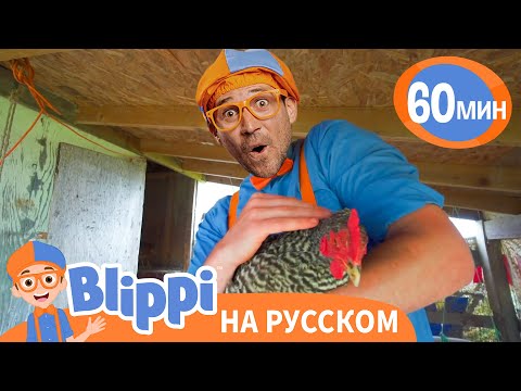 Песенка Про Ферму👩🌾 | Обучающие песни для детей | Blippi Russian