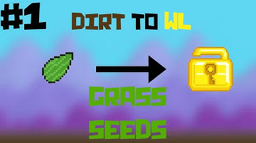 Growtopia|How To Get Your First World Lock