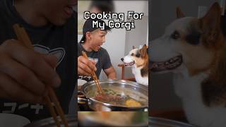 Cooking Hot Pot For My Corgi - His Favorite ️