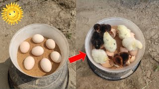 How to hatch eggs at home without incubator 100% | sunlight incubator | homemade incubator