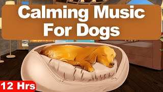 12 Hours Of Music For Dogs