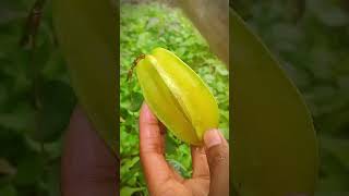 #forpage #kamranga #tokjhalmisti #food #fypシ゚viral #foodshorts
