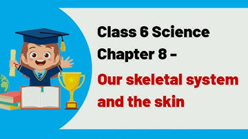 Our skeletal system and the skin || Part 1