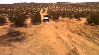 Rhino hitting whoops