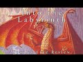 Into the labyrinth by margaret weis and tracy hickman  spoiler free review