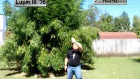 Lupin III 