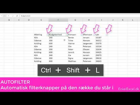 5 Smarte Genvejstaster i Excel