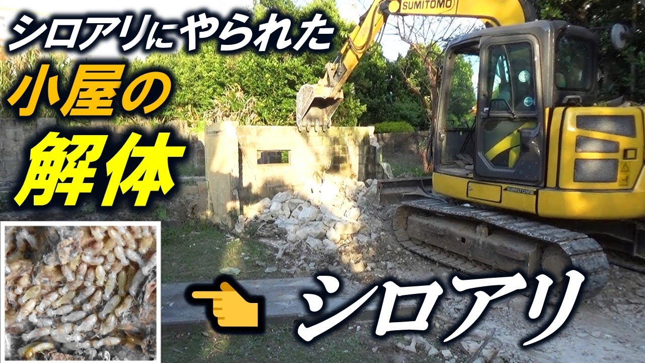 ユンボ解体、ユンボ整地、☆シロアリにやられた離れ小屋の解体工事をしました‼ バックホー整地、バックホウ掘削、油圧ショベル、コンクリートブレーカー、コンクリートカッター、#古民家コテージやんばるの家
