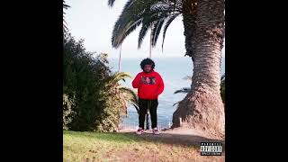 Shoelacebelt - Come To My Party Ft. Jla