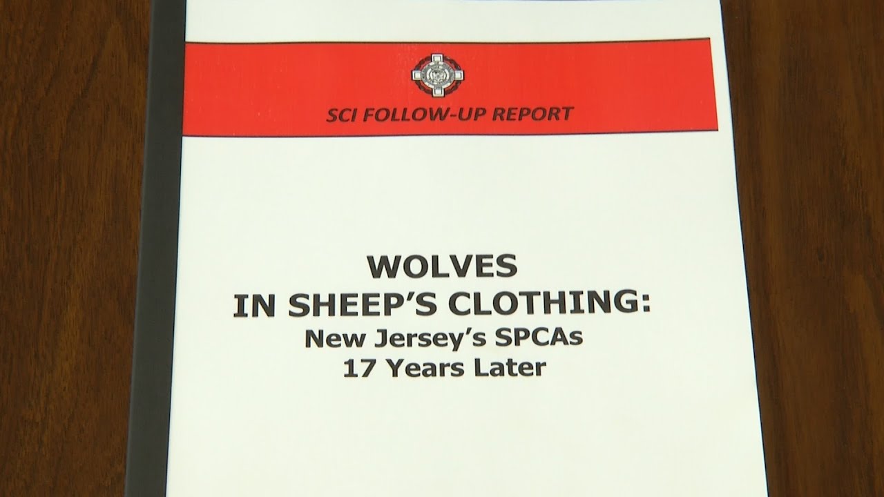 Report finds NJSPCA dysfunctional and full of 'wannabe cops'