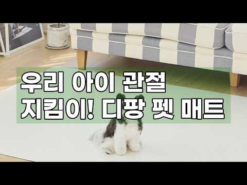 우리집 강아지, 고양이가 미끄러지지 않게! 디팡 펫 미끄럼방지 애견매트 140x180cm