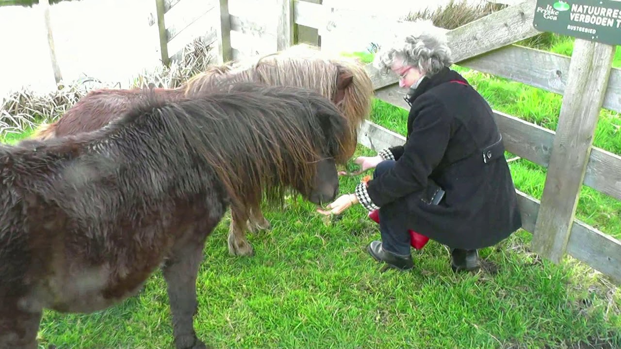 NETHERLANDS national park "De Alde Feanen", Eernewoude (Friesland)