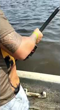 Azeva Fishing Gabon Ep 24 : G vs Cubera ✌️