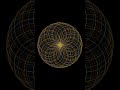 python visualization #pythonturtle #pythonprogramming #pythonforeveryone #python #python3