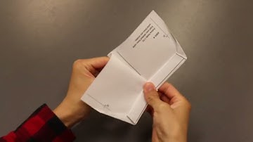 Paper Bird Folding Demonstration (Science Action Club) | California Academy of Sciences