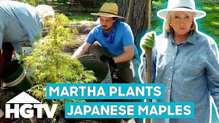 Martha Stewart's Tips To Plant Japanese Maple Trees | Martha Knows Best