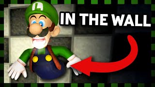 The Luigi's Mansion Glitch NO ONE Can Do