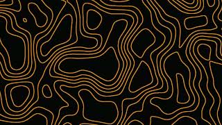 Topographic Map | Topographic Textures | Animated Background |⚡FREE Download