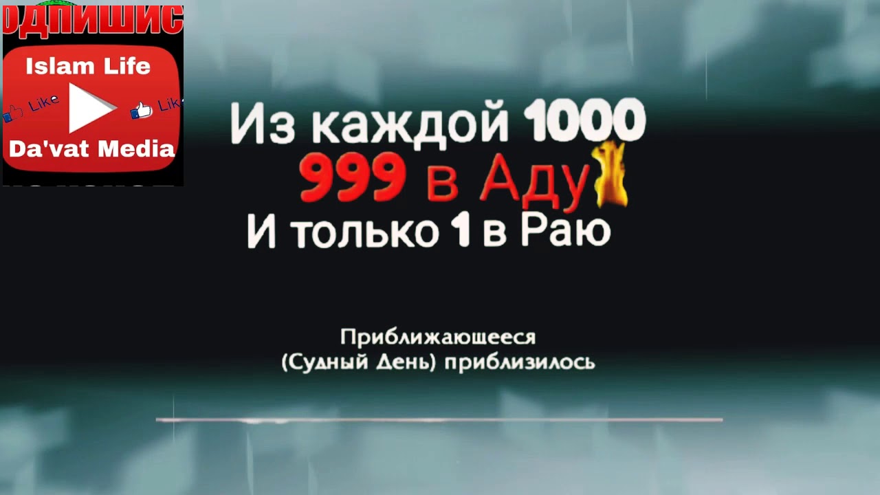 Тысяча и один день Тысяча и один день