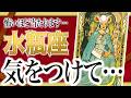 【5月17日までに見れたらラッキー】水瓶座に“世界が変わる前兆”が出ました Anne先生