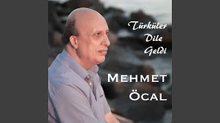 Şu Gelen Kimin Gülü Şevko