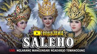 Cantiknya !!! Topeng Ireng SALEHO KARYA BUDAYA - Live Nglarang Mangunsari Ngadirejo Temanggung