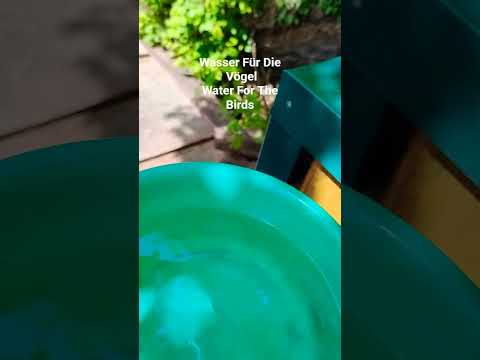 Wasser Für Die