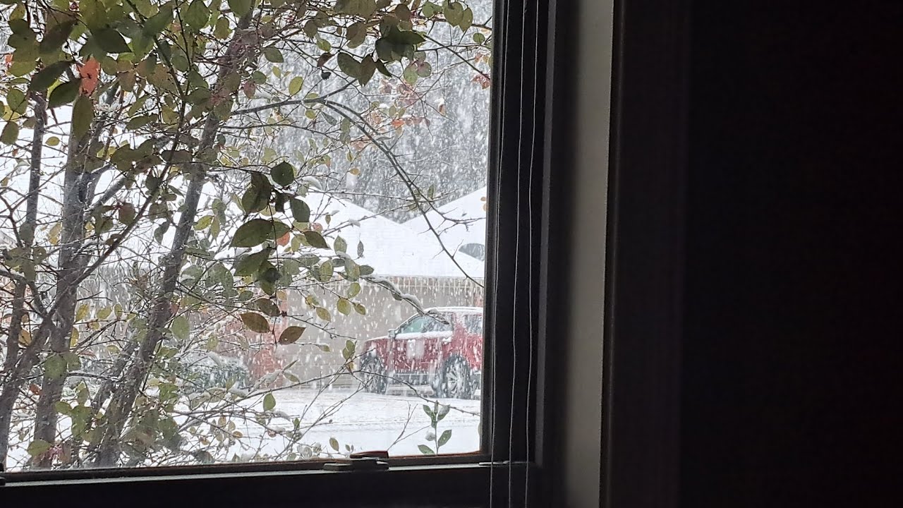Our First Snow Day with the Children at School! - YouTube
