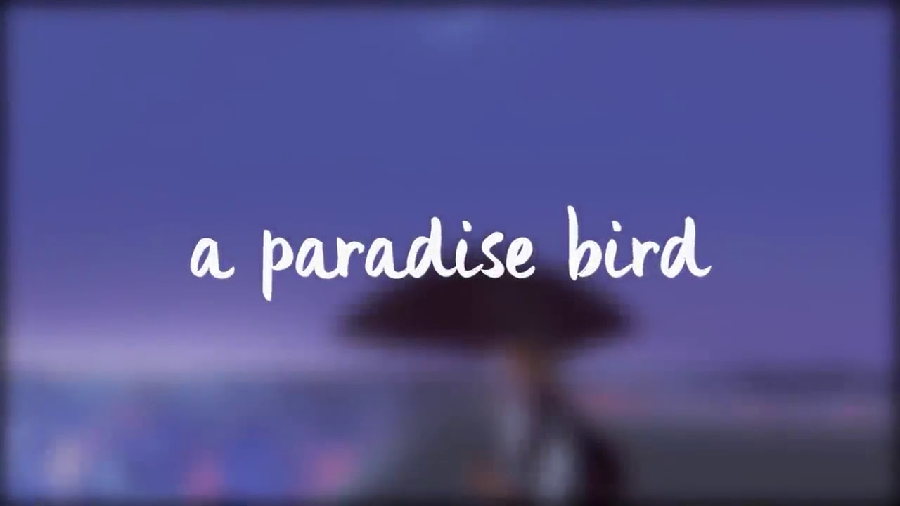 Alec Benjamin Water Fountain (Lyrics) YouTube