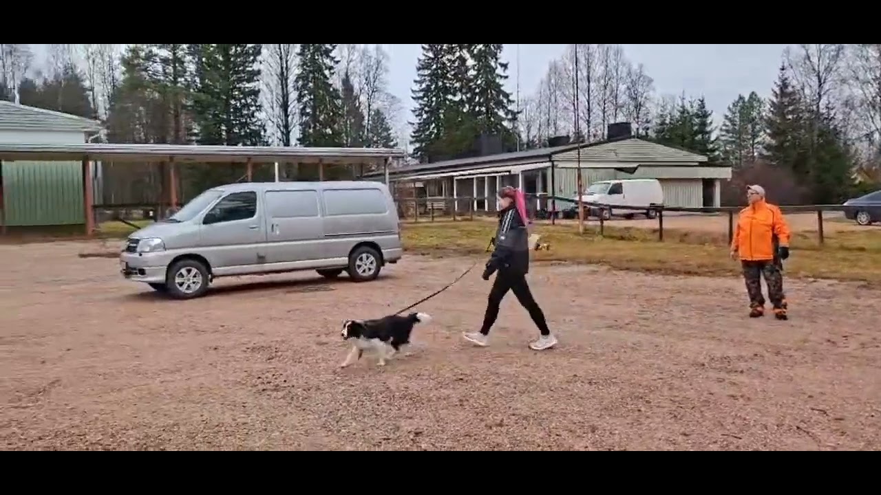 Avan luonnetesti 1.11.25